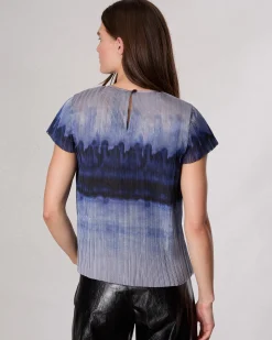 Hailey Ombre Organza Top
